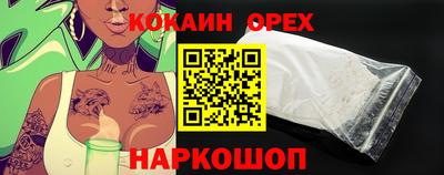 гидра Кандалакша