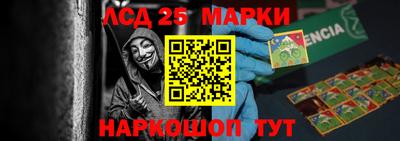 гидра Кандалакша
