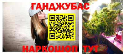 apvp Канаш